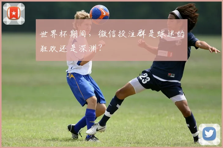 世界杯期间，微信投注群是球迷的狂欢还是深渊？