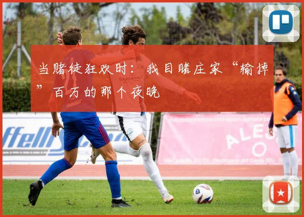 当赌徒狂欢时：我目睹庄家“输掉”百万的那个夜晚