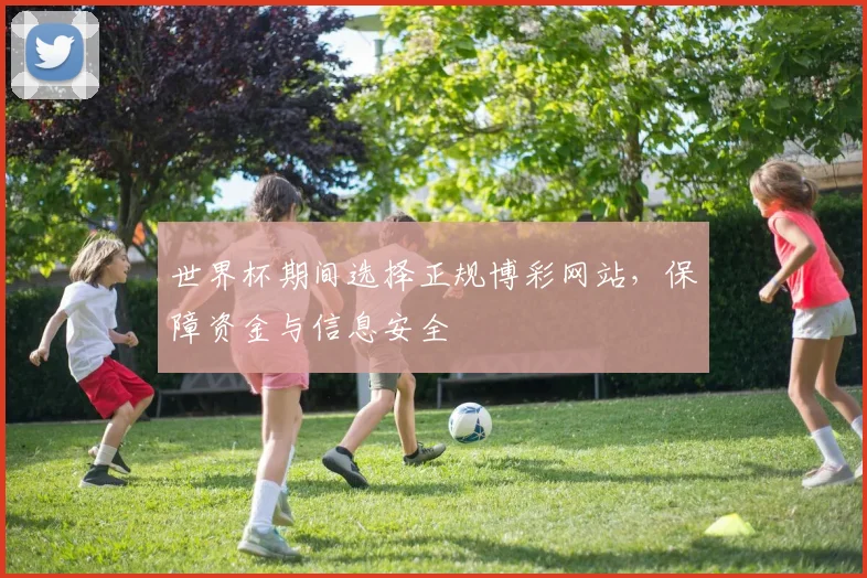 世界杯期间选择正规博彩网站，保障资金与信息安全