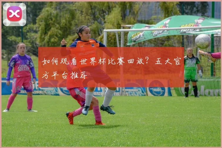 如何观看世界杯比赛回放？五大官方平台推荐