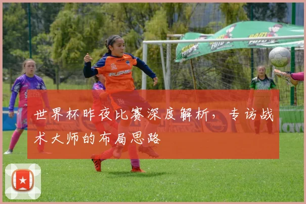 世界杯昨夜比赛深度解析,专访战术大师的布局思路