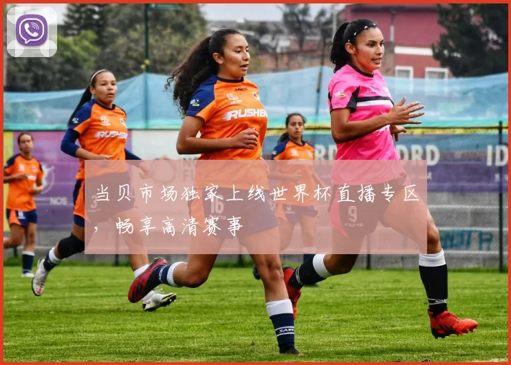 当贝市场独家上线世界杯直播专区，畅享高清赛事
