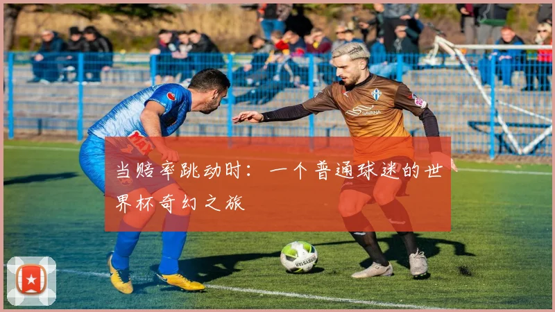 当赔率跳动时：一个普通球迷的世界杯奇幻之旅
