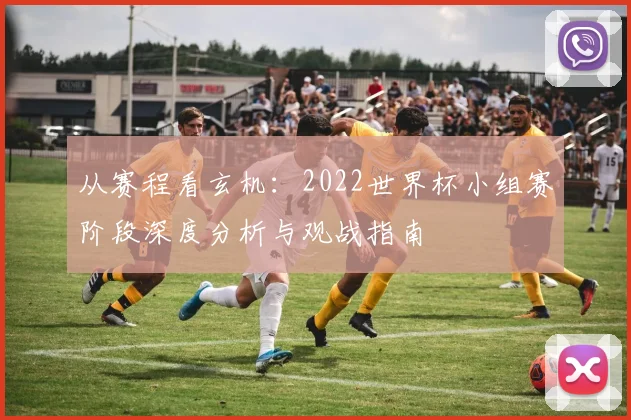 从赛程看玄机：2022世界杯小组赛阶段深度分析与观战指南