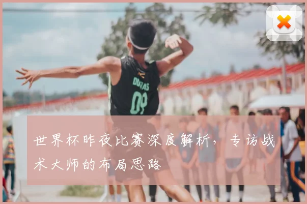 世界杯昨夜比赛深度解析,专访战术大师的布局思路